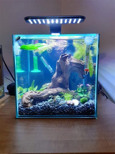 Complete LED Aquarium Kit 20 Gal .